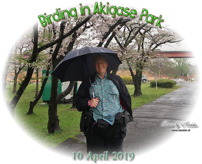 🌳 아키가세 공원 이미지 5